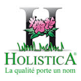 logo holistica